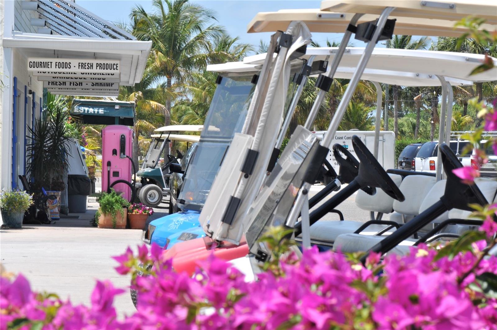 GASPARILLA ISLAND - Residential