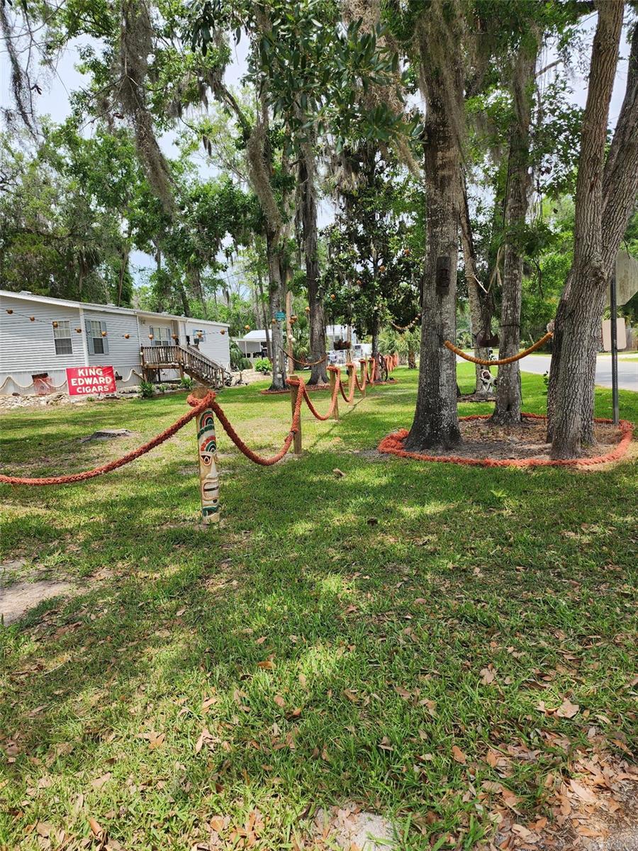 HOMOSASSA TOWN - Residential