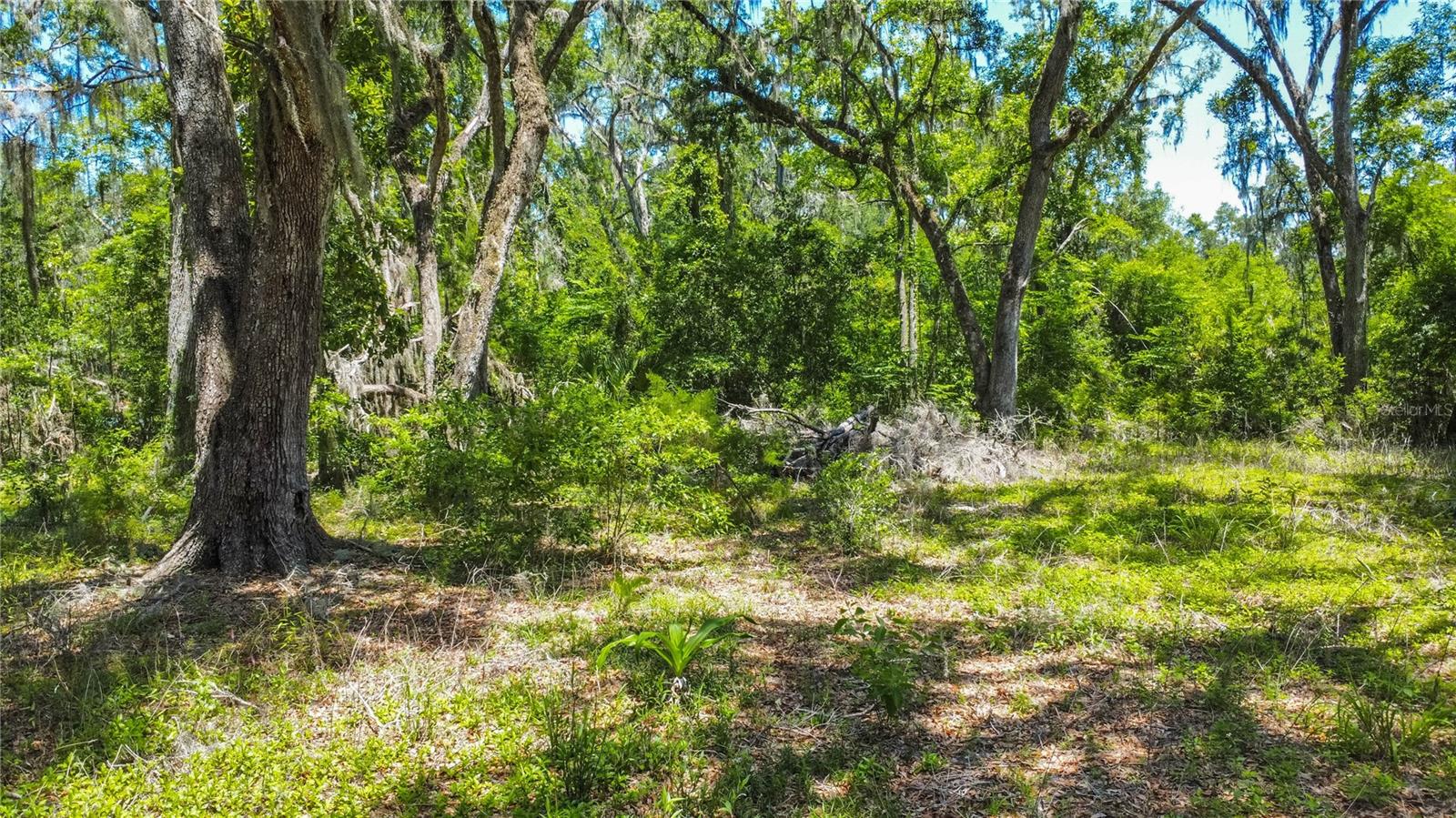OAK DALE - Land