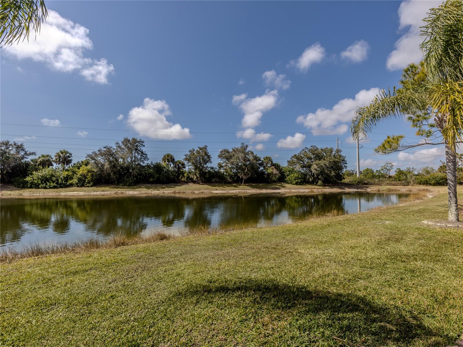 STONEYBROOK AT VENICE - Residential