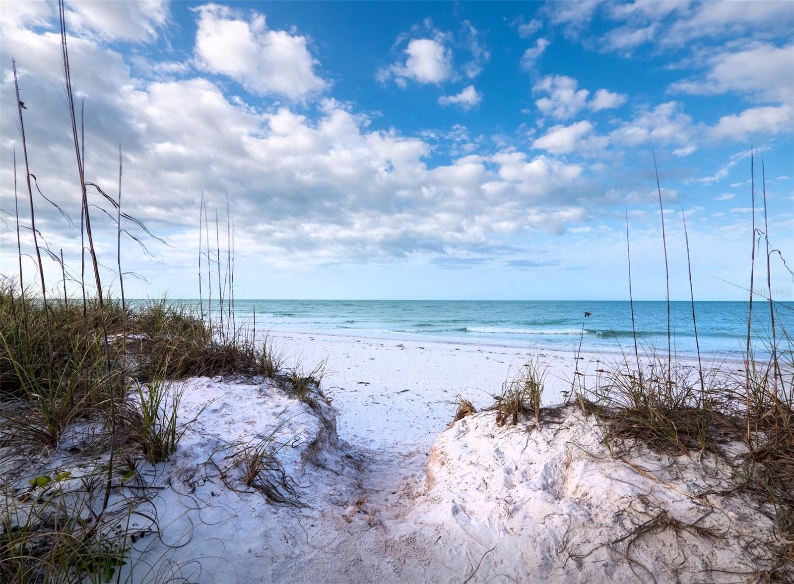 CONRAD BEACH - Residential