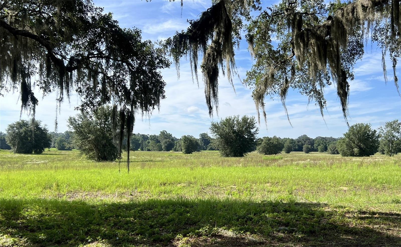 Via Paradisus is a gated community grace wutg beautiful Granddaddy Oaks, paved street, street lighting and has access to the Florida Greenways and Trails. Close to the Florida Horse Park. Deed restricted community, equine friendly.  Bring your plans and build your dream home or farm of your choice.  Florida's Marjorie Harris Carr Florida Greenway is by far one of the most treasured resources available. Offering hundreds of miles for horseback riding, mountain biking or just plain relaxing, the Florida Greenway awaits your adventure.