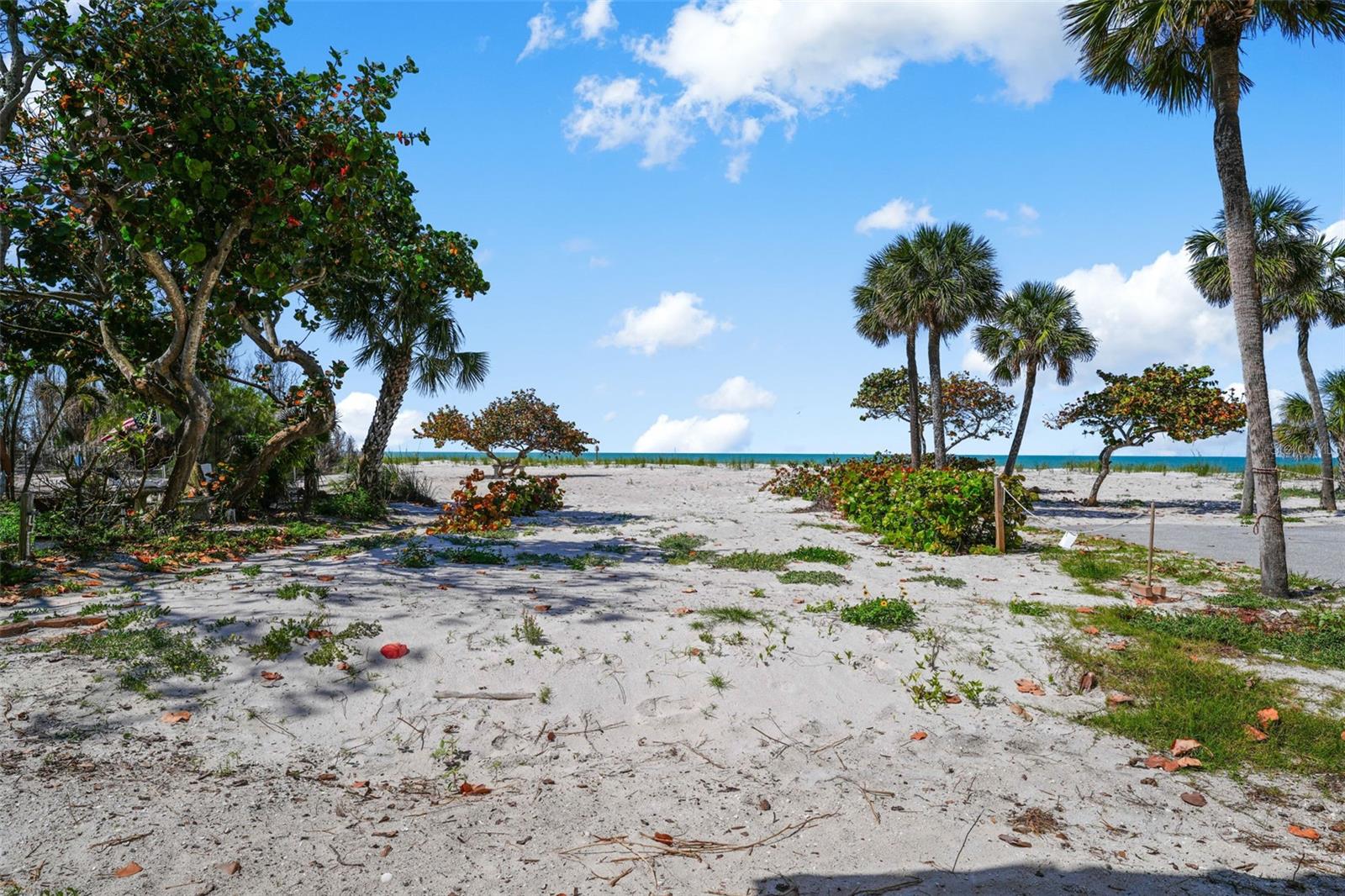 MITCHELLS BEACH REV - Commercial Sale