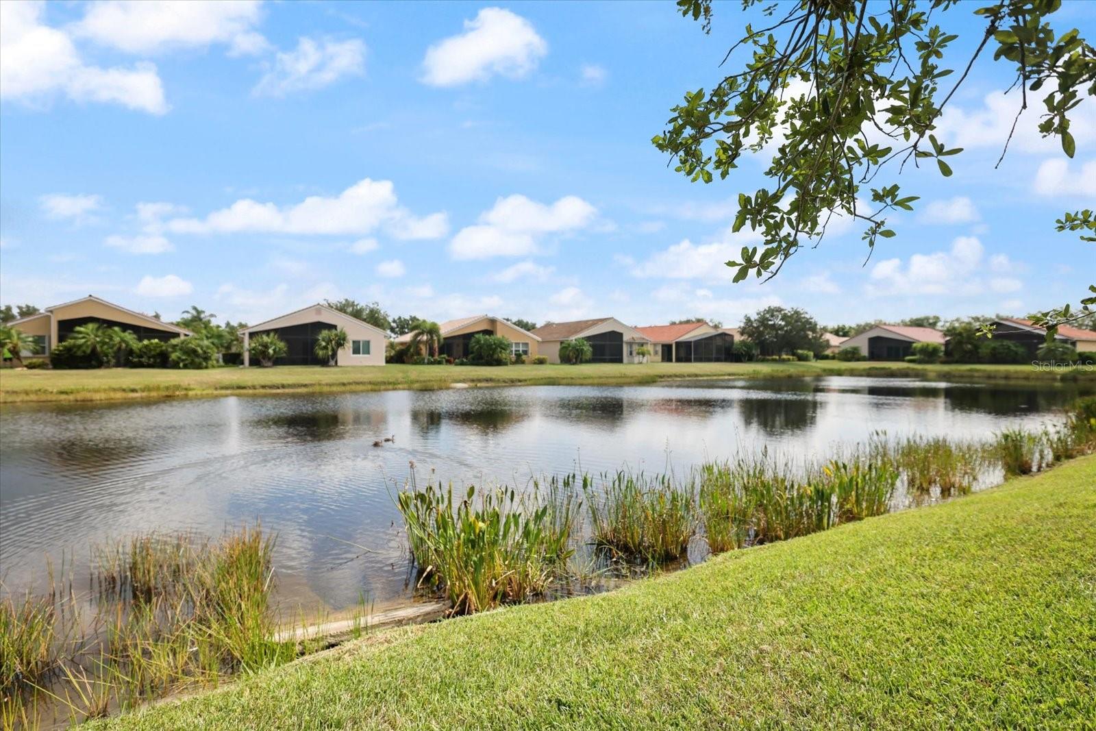 CASCADES AT SARASOTA PH IIIA - Residential