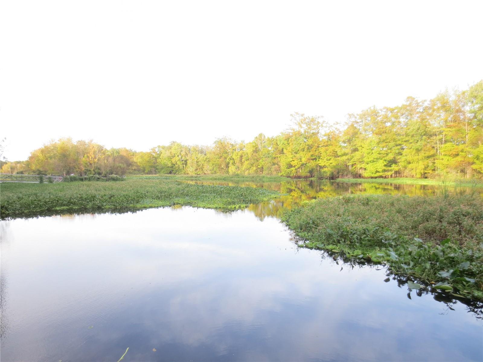 SILVER SPGS VILLAGE - Residential