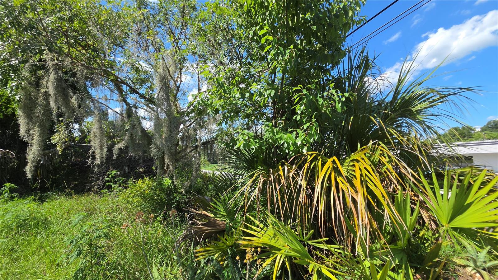 ROGERS DELAND - Residential