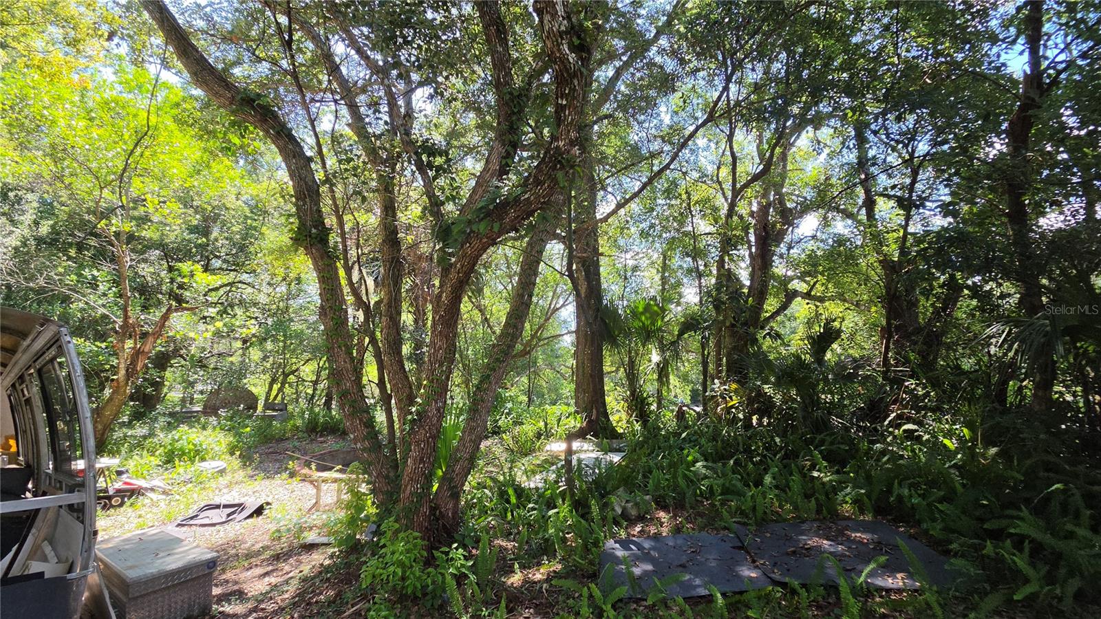 ROGERS DELAND - Residential
