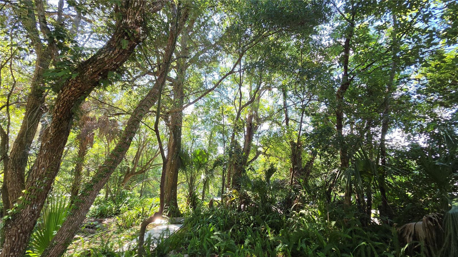 ROGERS DELAND - Residential