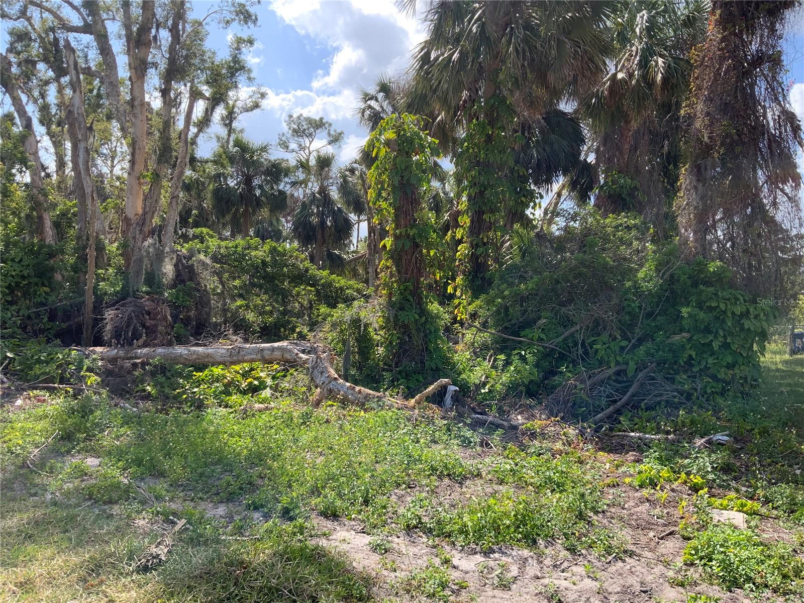 YACHT CLUB COL W ADD - Land