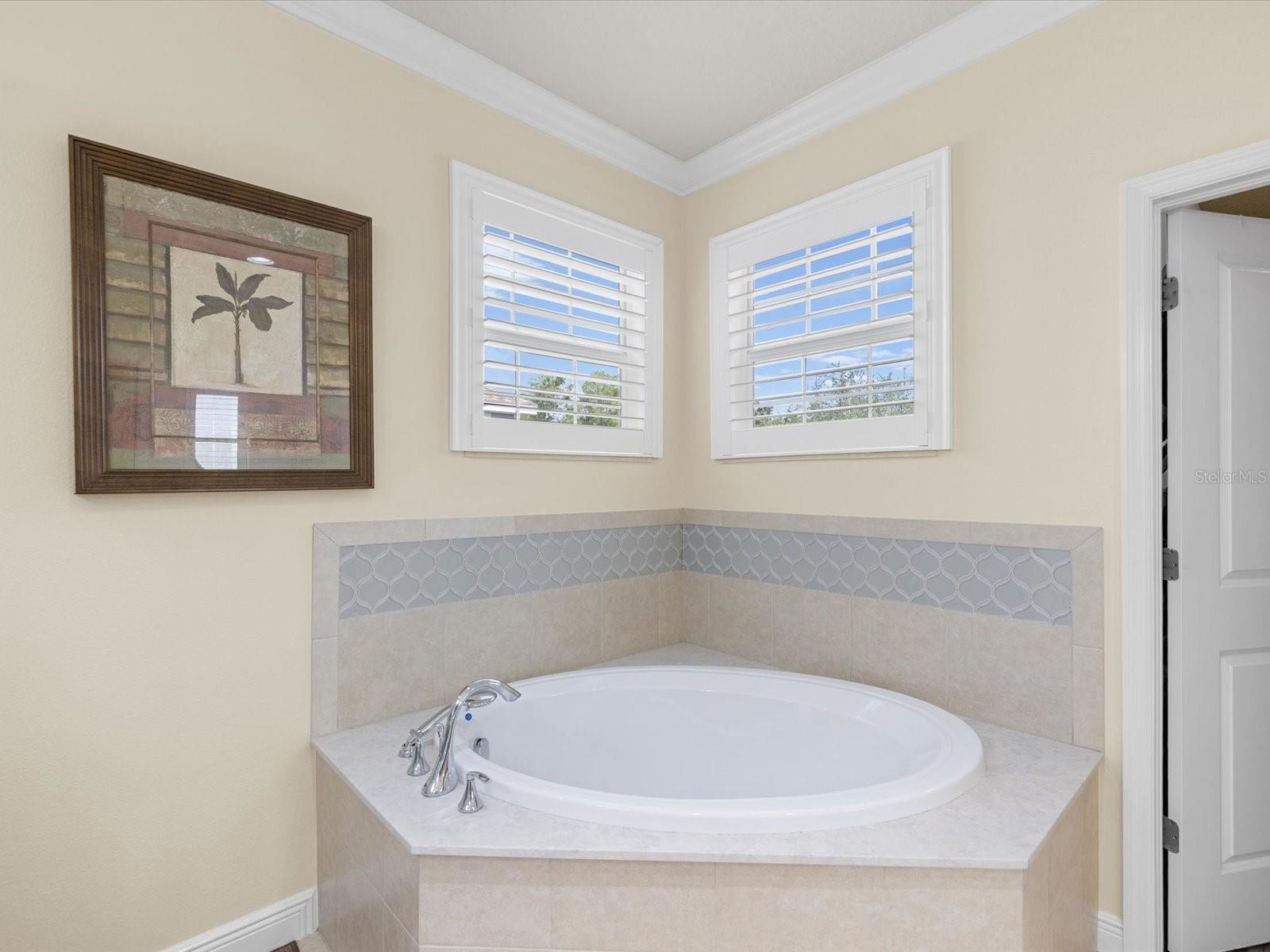 PARK BROOK OF CITRUS PARK - Residential