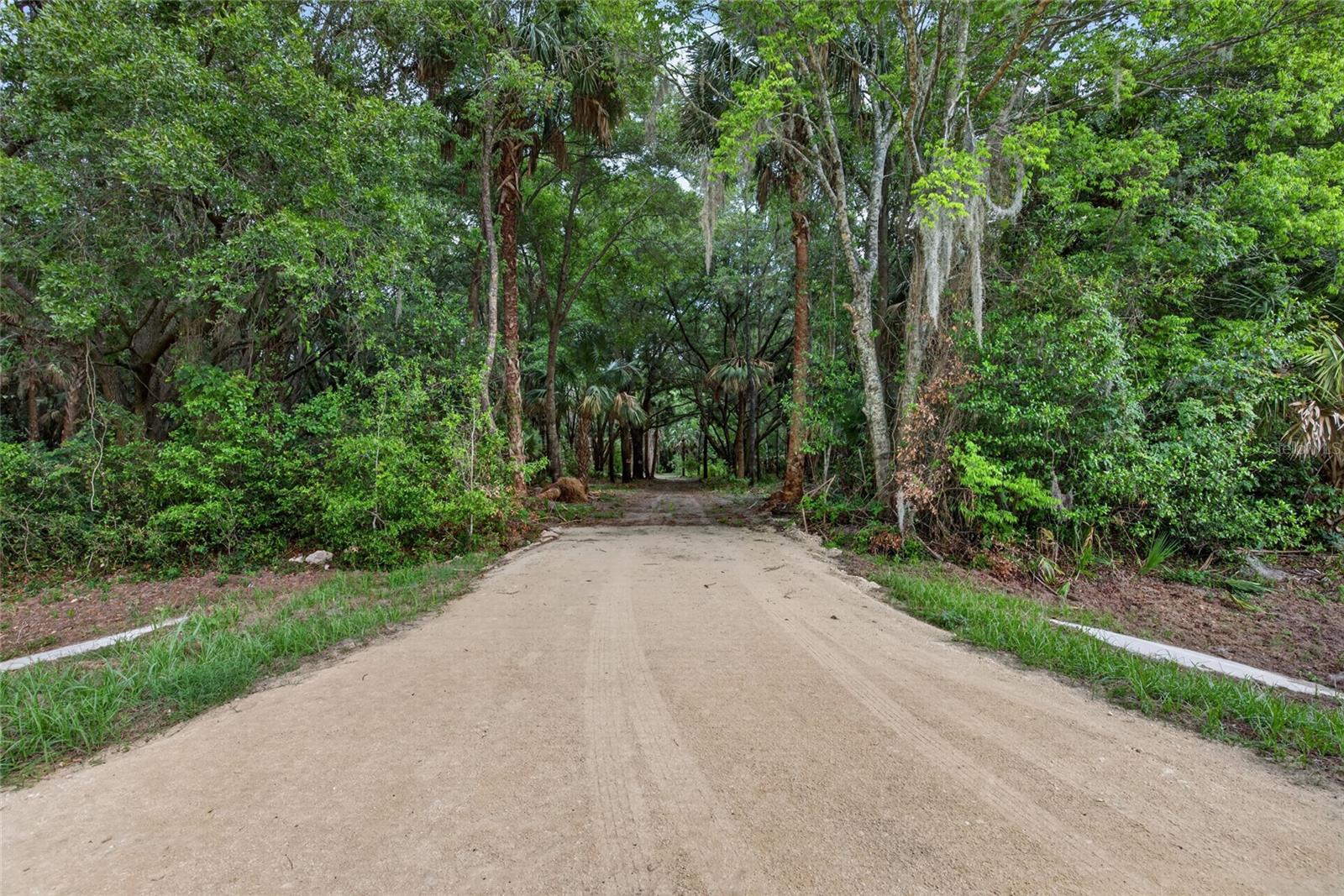 High-visibility 5.49-acre parcel strategically positioned on high-traffic US Highway 301 in Citra, perfectly nestled between Gainesville and Ocala. Offering an impressive 335 feet of direct highway frontage, this partially cleared property guarantees maximum exposure and effortless accessibility, further enhanced by a brand-new, just-installed culvert for easy entry. Zoned A-1 (General Agriculture), this versatile acreage accommodates single-family homes, livestock, agriculture, and accessory structures, while holding excellent potential for future commercial transition or agri-business. Located directly across from the 3-acre RV park (19410 US-301), the property is situated entirely in Flood Zone X, ensuring no flood risk or costly insurance. Electric is readily available via Duke Energy. Parcel ID: 03316-036-00. Don't miss this rare opportunity to secure prime acreage on a major Florida thoroughfare!