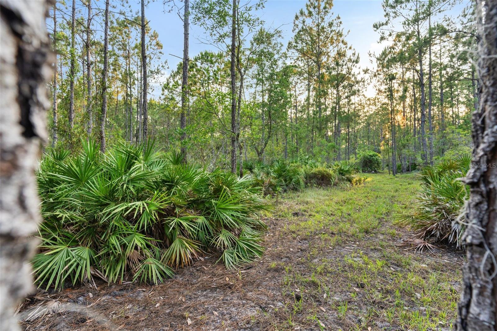NOT IN SUBDIVISION - Residential