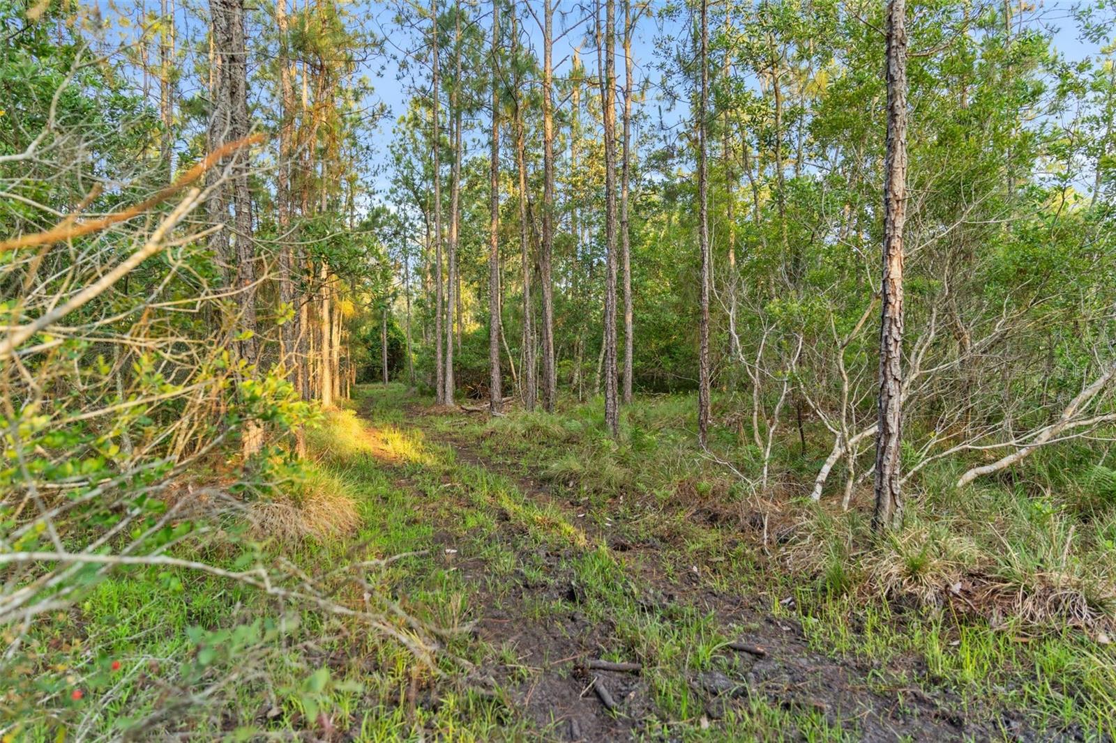 NOT IN SUBDIVISION - Residential