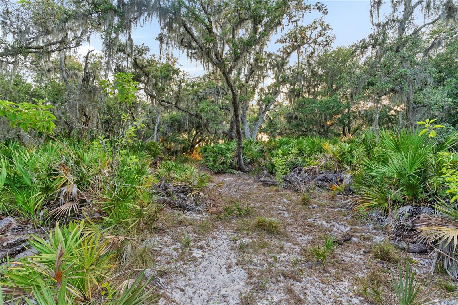 NOT IN SUBDIVISION - Residential