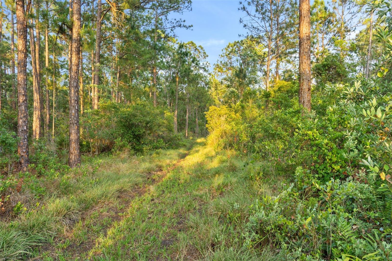 NOT IN SUBDIVISION - Residential