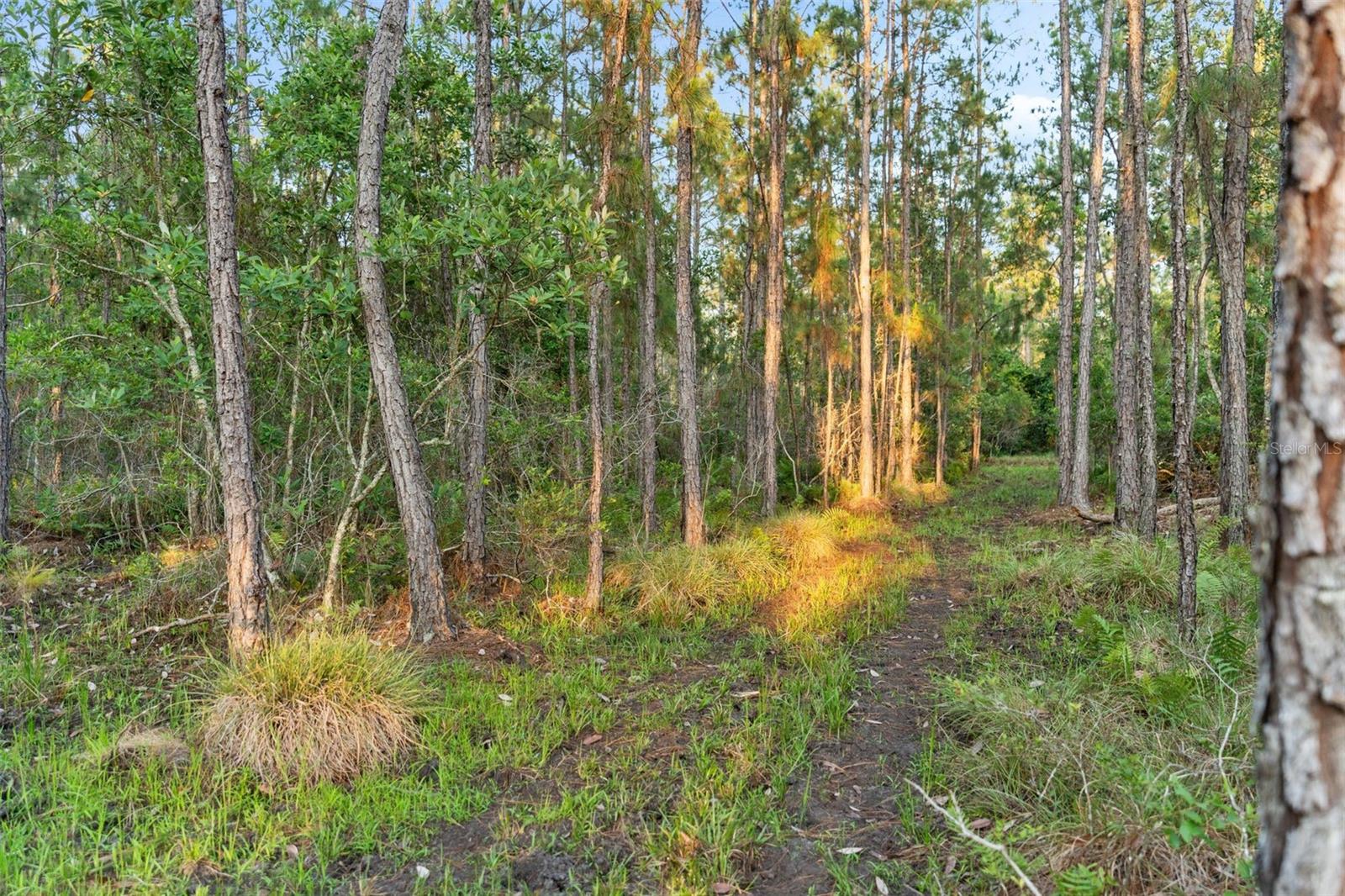 NOT IN SUBDIVISION - Residential