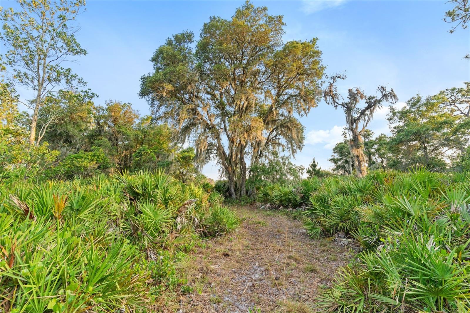 NOT IN SUBDIVISION - Residential