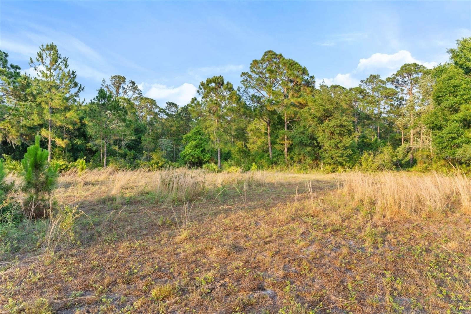 NOT IN SUBDIVISION - Residential
