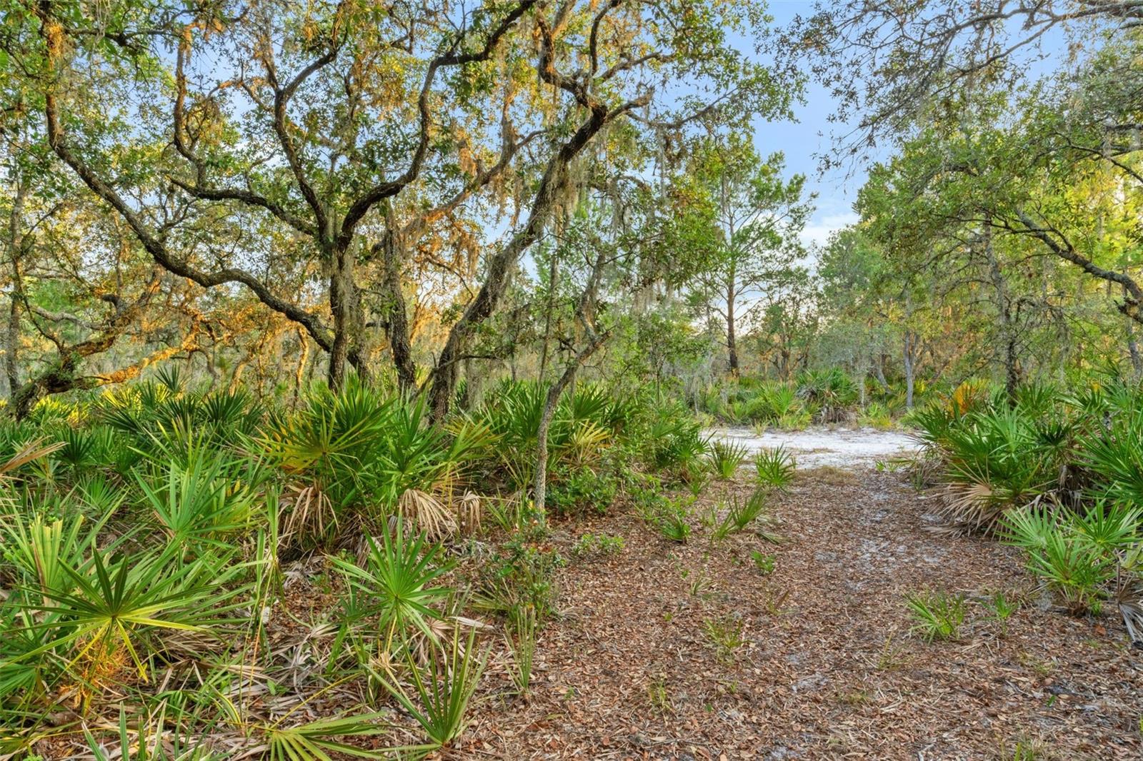NOT IN SUBDIVISION - Residential