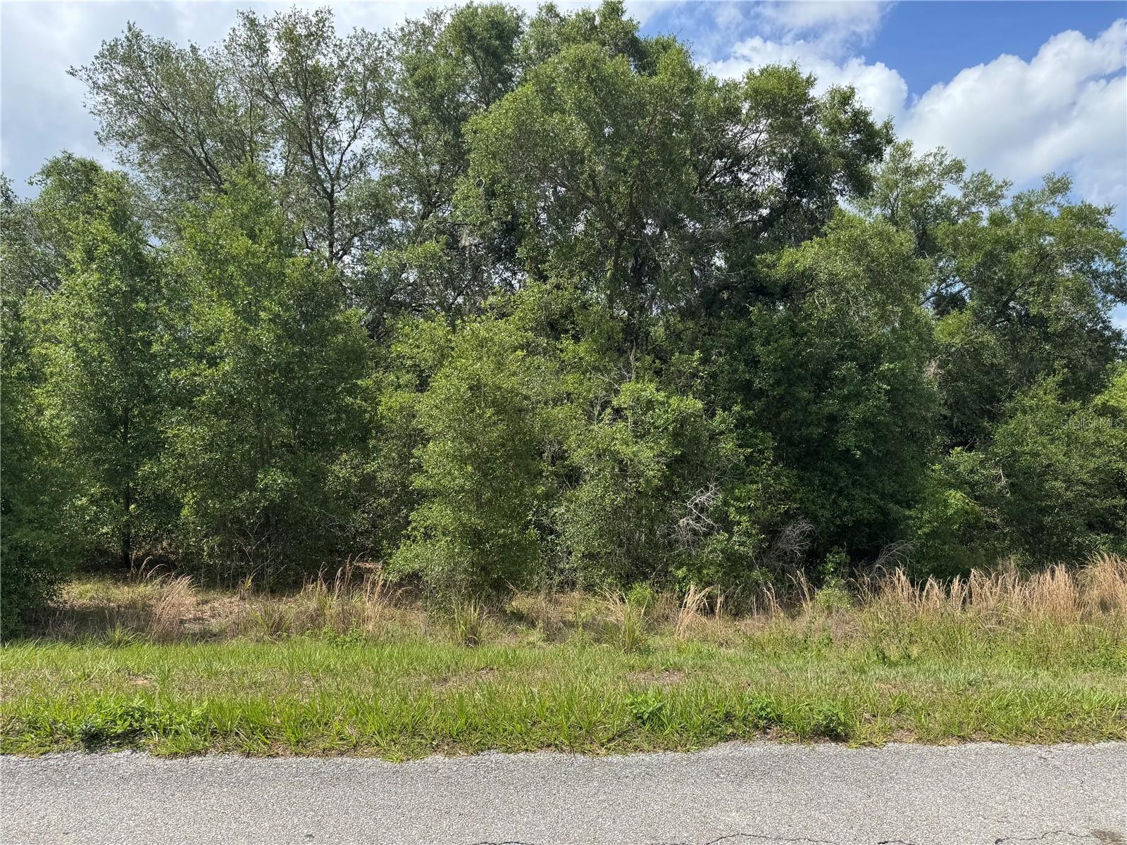 Bring your own builder!! Beautiful lot available for the dream home you've always envisioned. Nestled in a serene and quiet setting, this spacious lot, just shy of 1 acre, offers the perfect blend of privacy, peace and opportunity. Whether you're dreaming of a custom estate, a cozy retreat, or a modern farmhouse, there's plenty of room to design to your heart's content. Buyer and Buyer's Agent to verify that all information within this listing is accurate by contacting the governing municipality's development department.