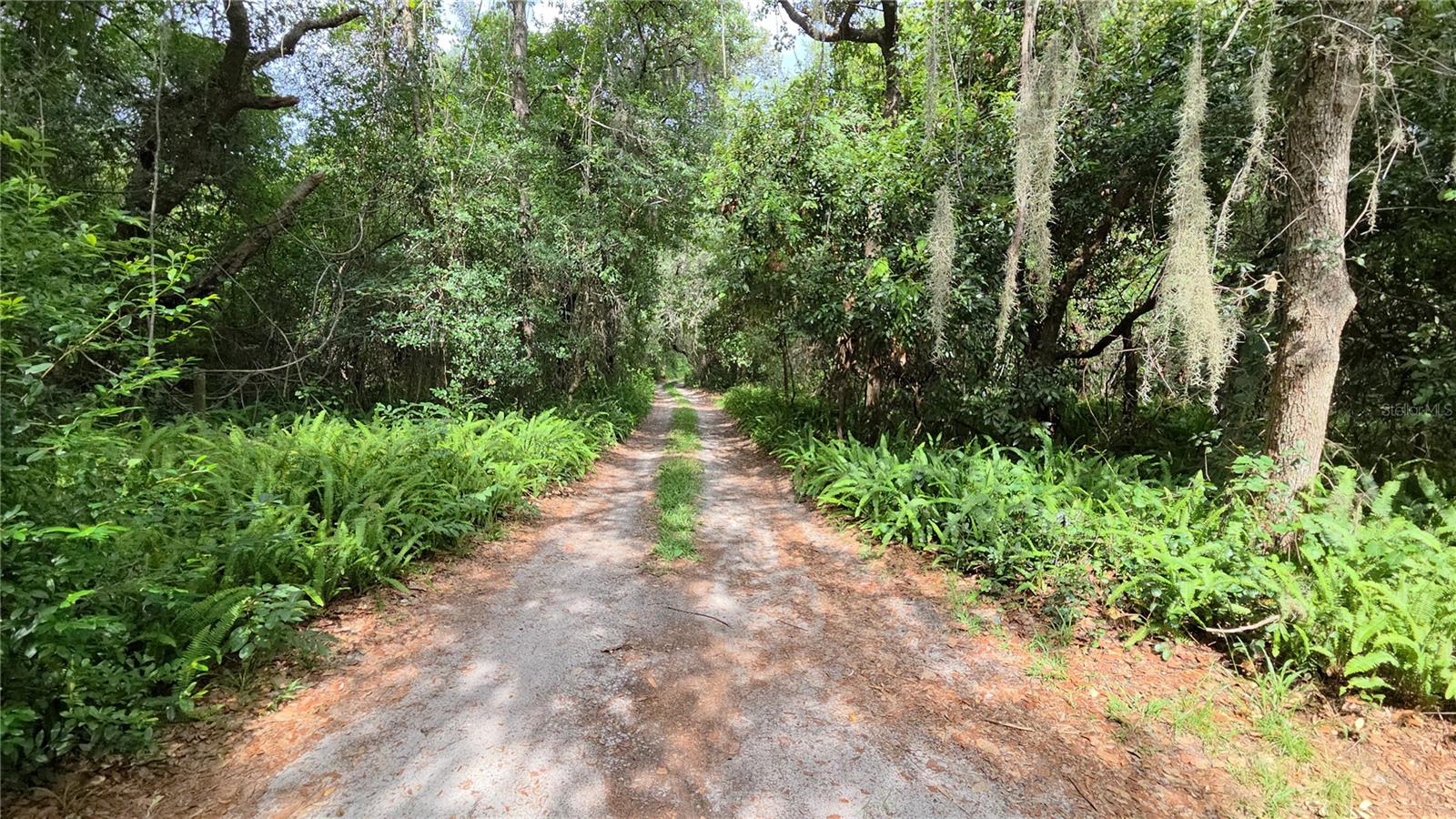 ACREAGE - Residential