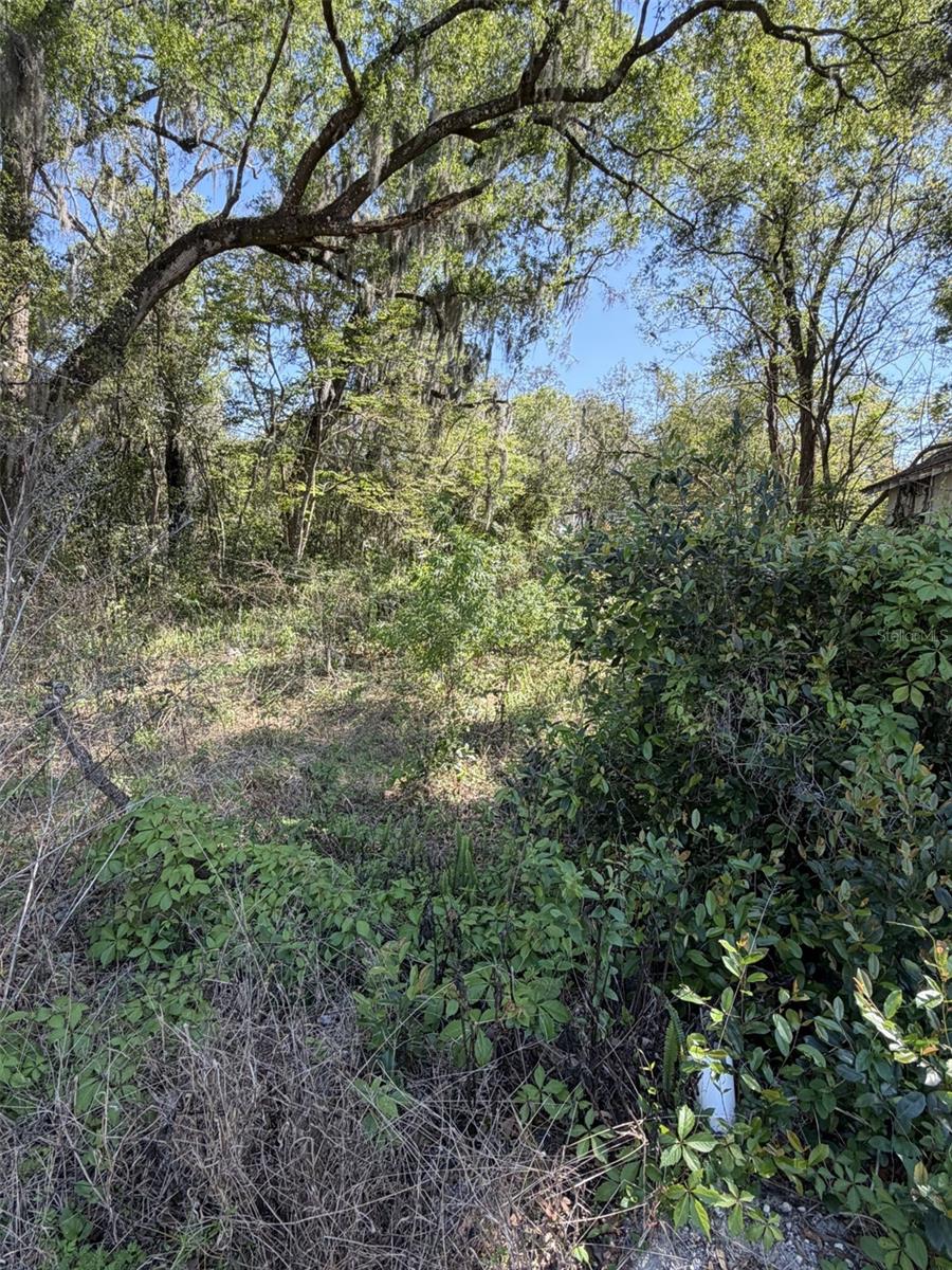 NORTH BLVD HIGHLANDS - Land