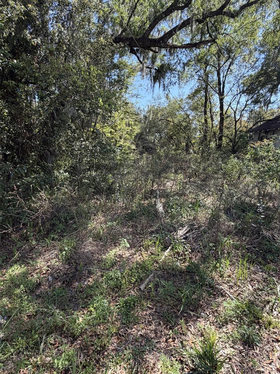 Business opportunity! Excellent location just off N. Woodland Boulevard just minutes away from Walmart. All information is presumed correct but not guaranteed. Buyer and Buyer's agent to verify all property uses, measurements, and zoning.