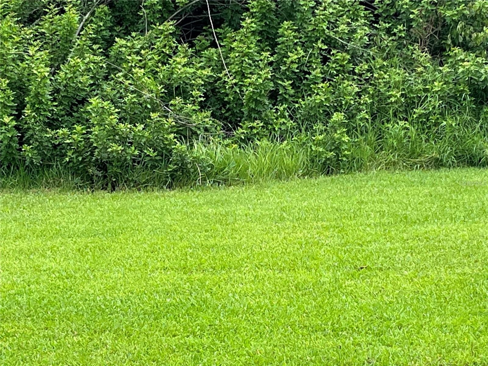 This Beautiful lot is the perfect place to build your dream house.  Located in a serene and picturesque setting.  It offers a peaceful atmosphere.  The lot is spacious and offers plenty of room to build your dream house.