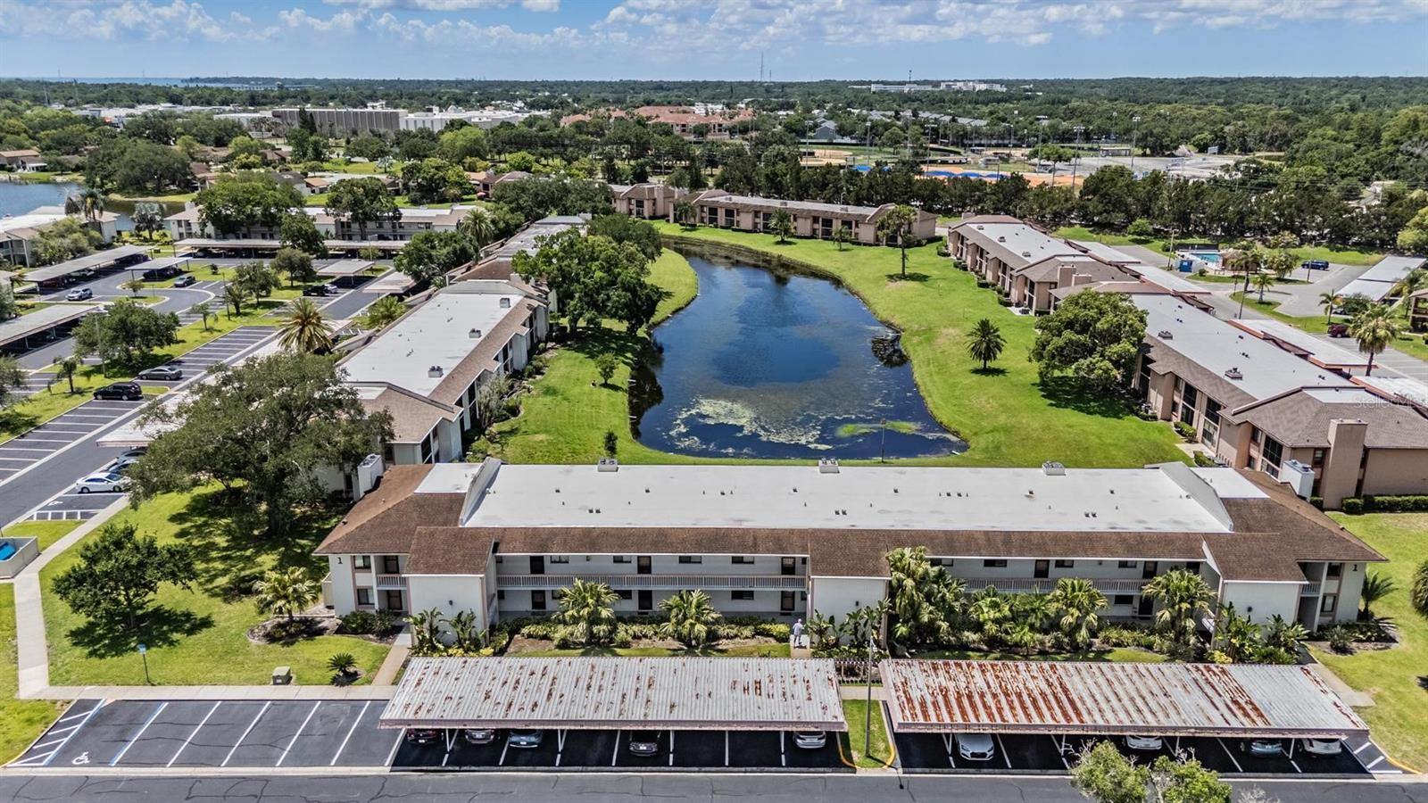 EAST LAKE WOODLANDS CONDO - Residential