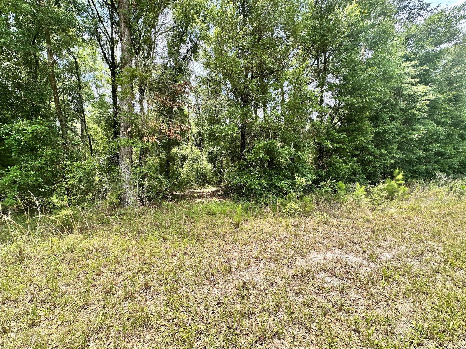 Escape to the peace and quiet of country living in the small town of O'Brien with this beautiful 1 acre wooded lot, ideally located in the Suwannee Forest subdivision. Enjoy easy access to nearby rivers for fishing, boating, kayaking, and other outdoor recreation. Whether you're looking to build now or hold for the future, this affordable piece of North Florida paradise is worth a look. Come experience the charm, natural beauty, tranquility, and laid-back lifestyle that Suwannee County has to offer.