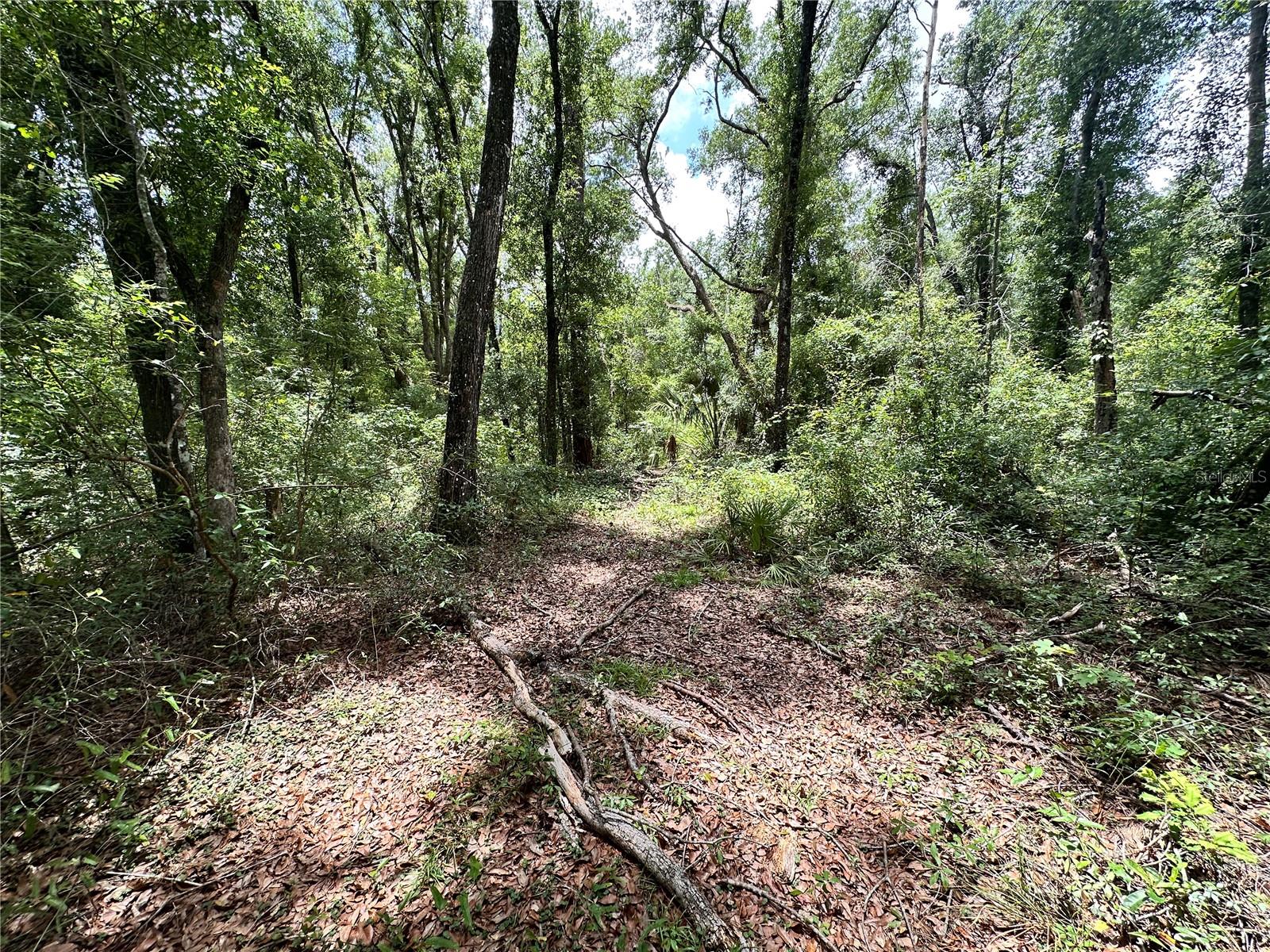 SUWANNEE FOREST SUB UN 1 - Land