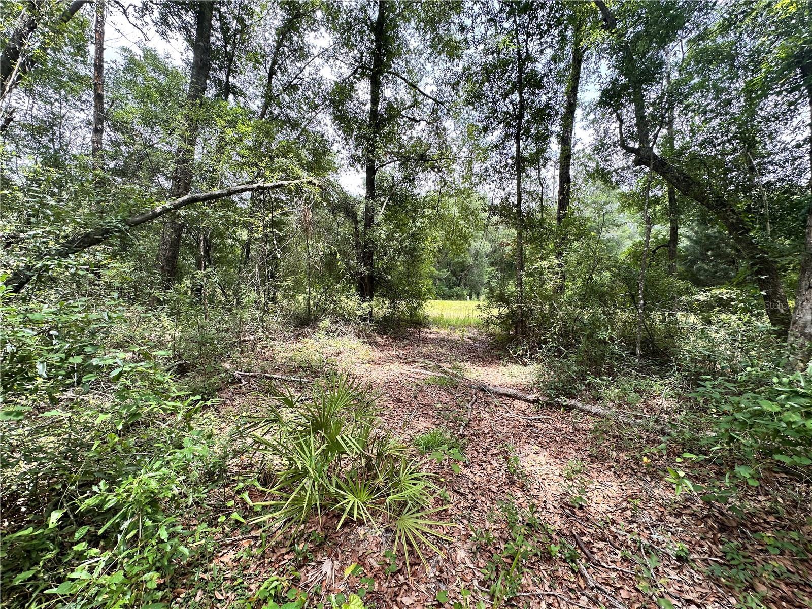 SUWANNEE FOREST SUB UN 1 - Land