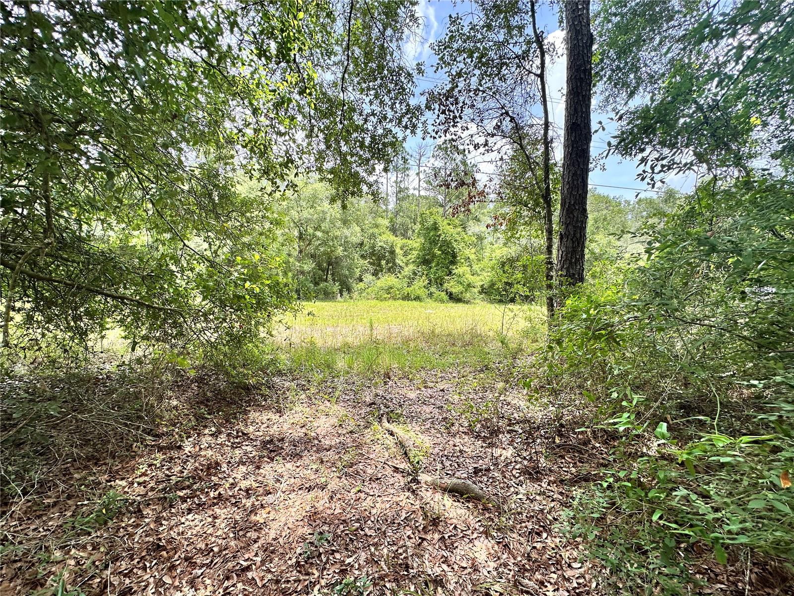 SUWANNEE FOREST SUB UN 1 - Land