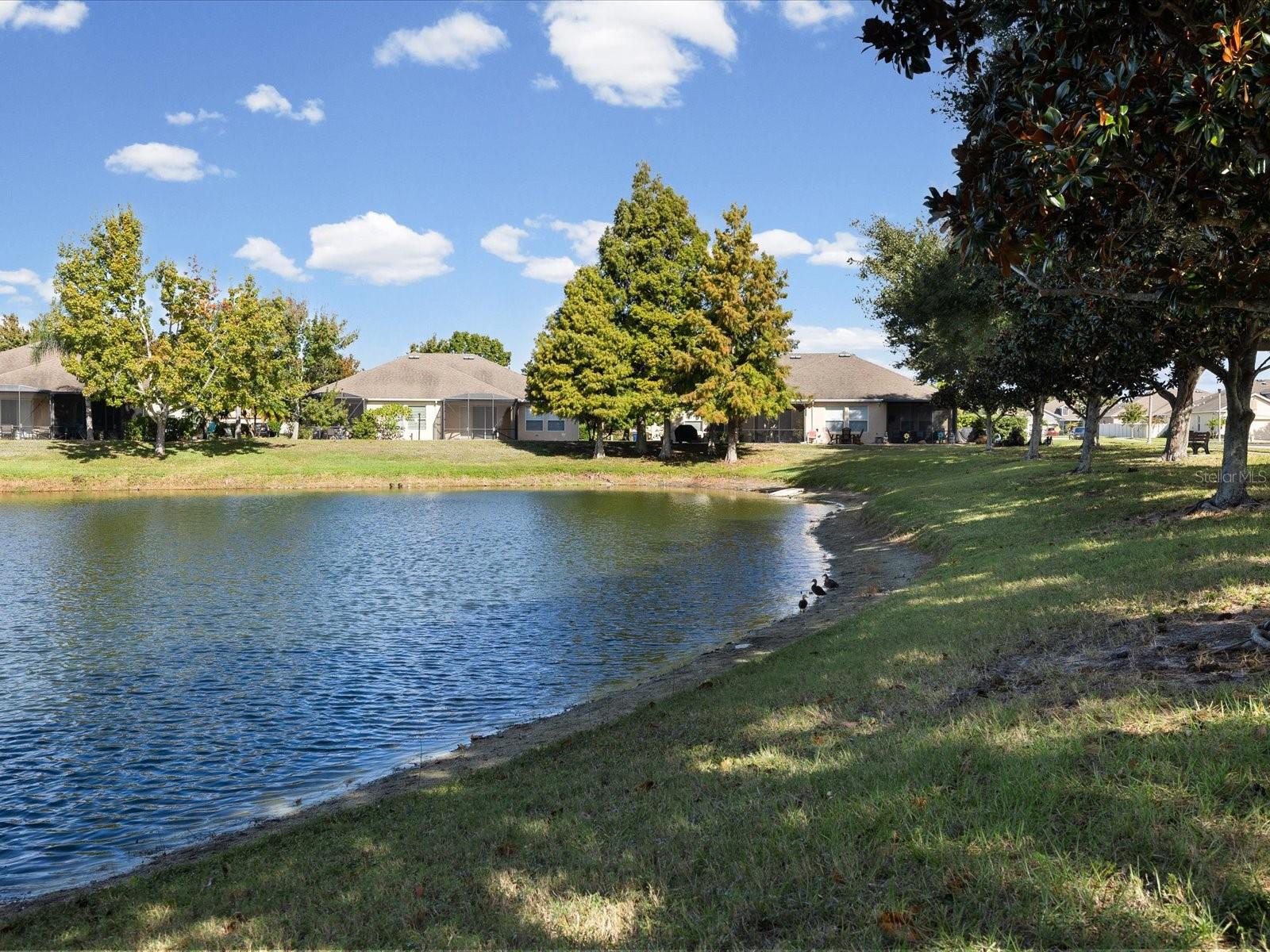 GULFWINDS - Residential