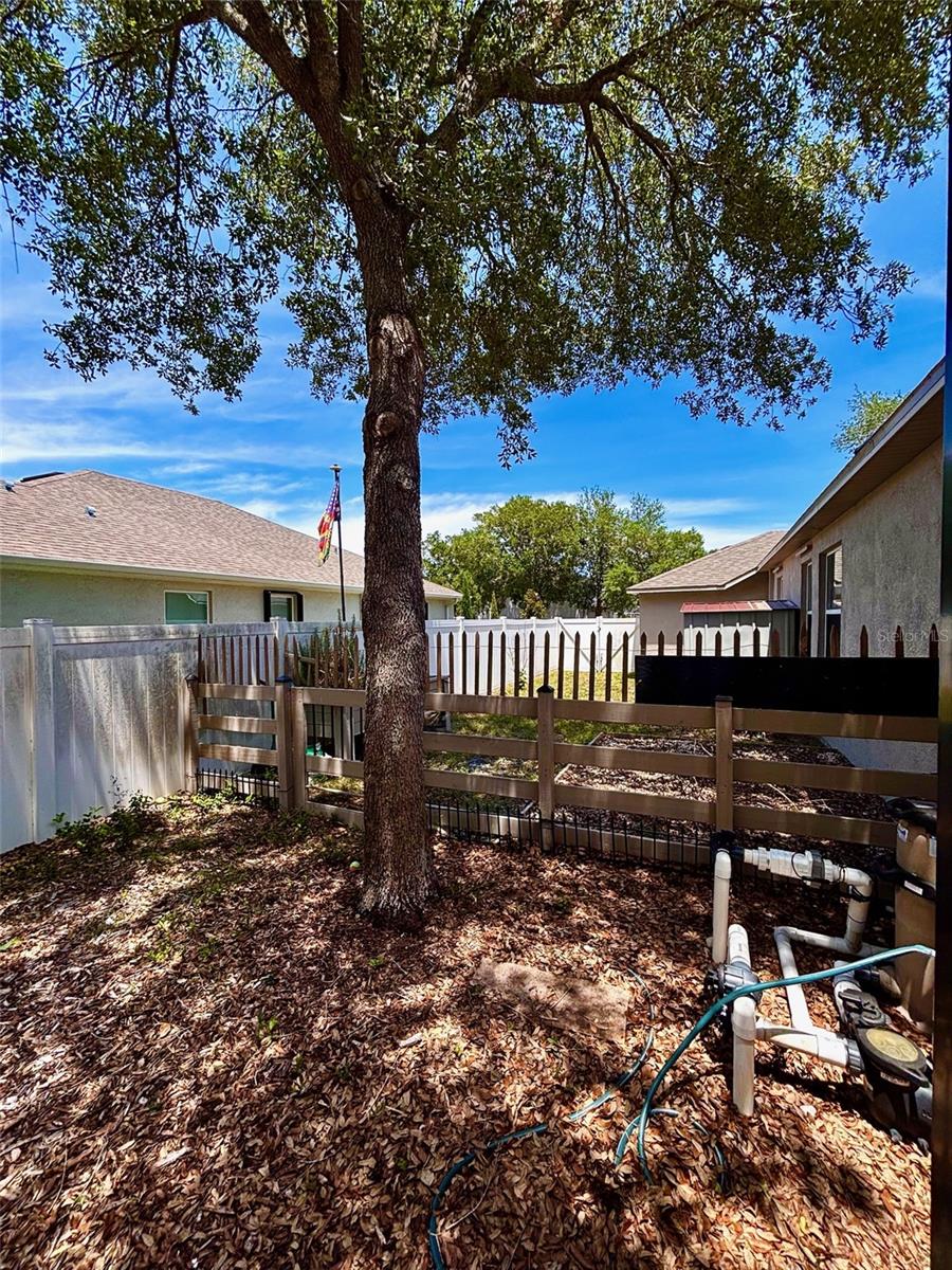 SUMMER CHASE - Residential