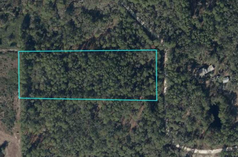Discover the perfect opportunity to build your dream home on this spacious 5.49-acre vacant lot located in Trenton, Florida. Nestled in a quiet, rural setting, this property offers the peace and privacy of country living with the convenience of quick access to main roads. Within a mile of many lakes packed with fish! With no deed restrictions or HOA, you have the freedom to design and use the land as you wish, whether that's placing a mobile home, building a custom residence, or even starting a small homestead. Enjoy the laid-back lifestyle of Gilchrist County has to offer while being a short drive to shopping and dining. Don't miss out on this versatile piece of Florida land with endless potential!