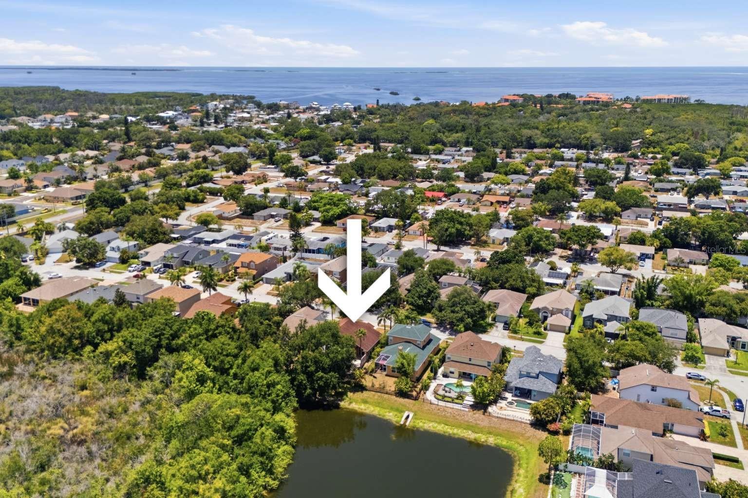 GRASSY POINTE - PH 1 - Residential