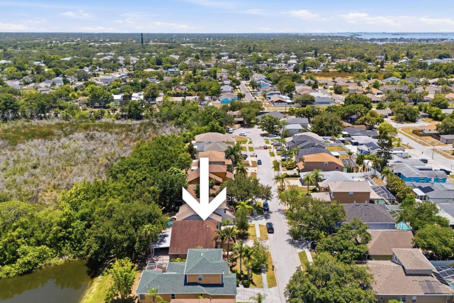 GRASSY POINTE - PH 1 - Residential