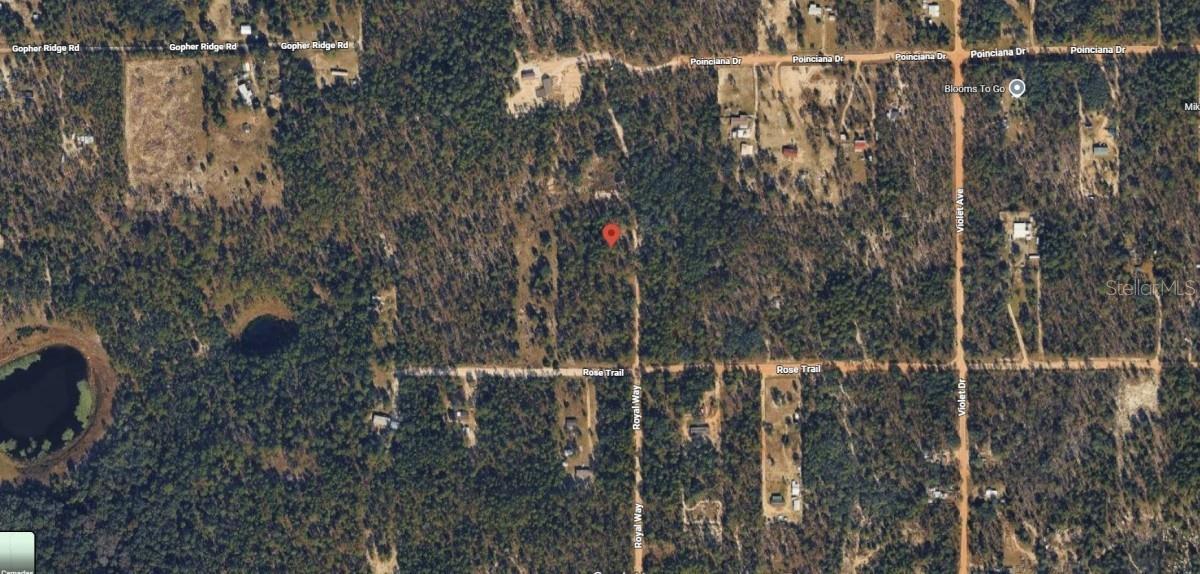 Build your dream home or install a manufactured home on this beautiful, wooded lot (Parcel: 12-10-23-4183-0980-0020). Located at coordinates 29.644524, -81.946209, this private property offers a peaceful retreat highlighted in the plat map.
Enjoy Putnam County’s low property taxes, affordable cost of living, and famous fishing lakes, all while staying within easy reach of Palatka and Gainesville. Perfect for investors or future homeowners looking for a piece of Florida paradise.
