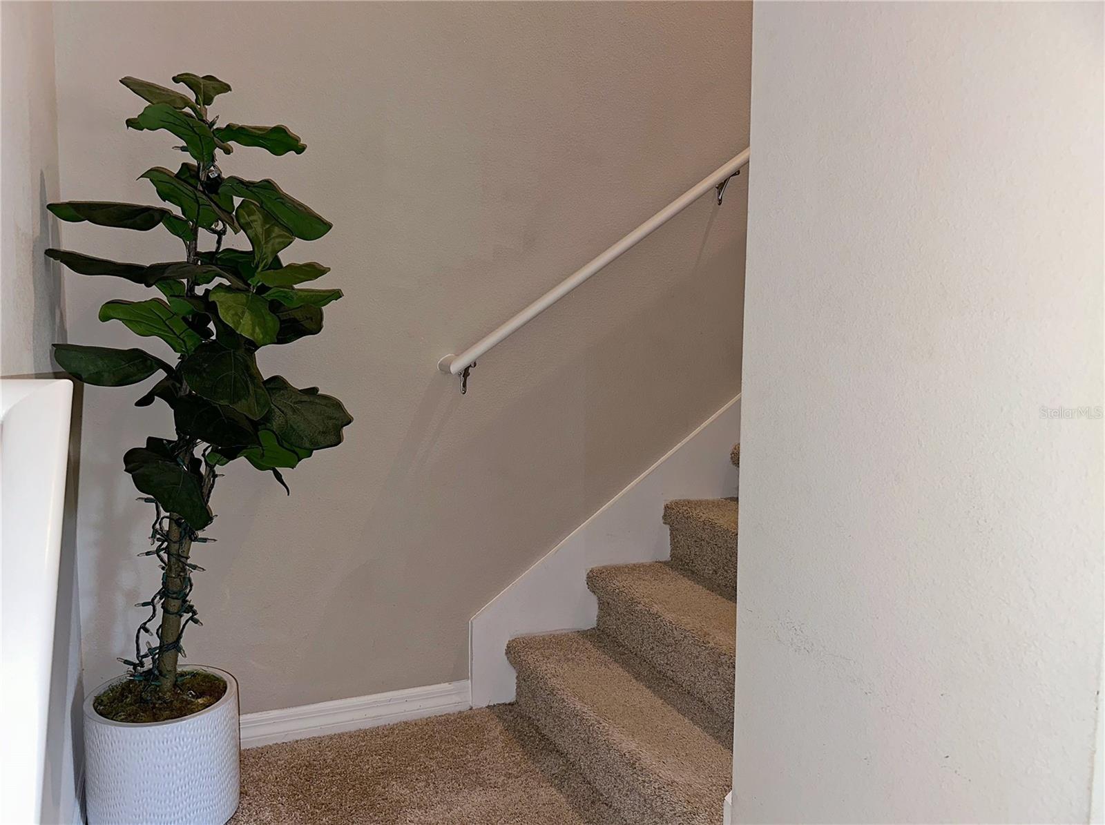 WATERLEIGH PH 2E - Residential Lease