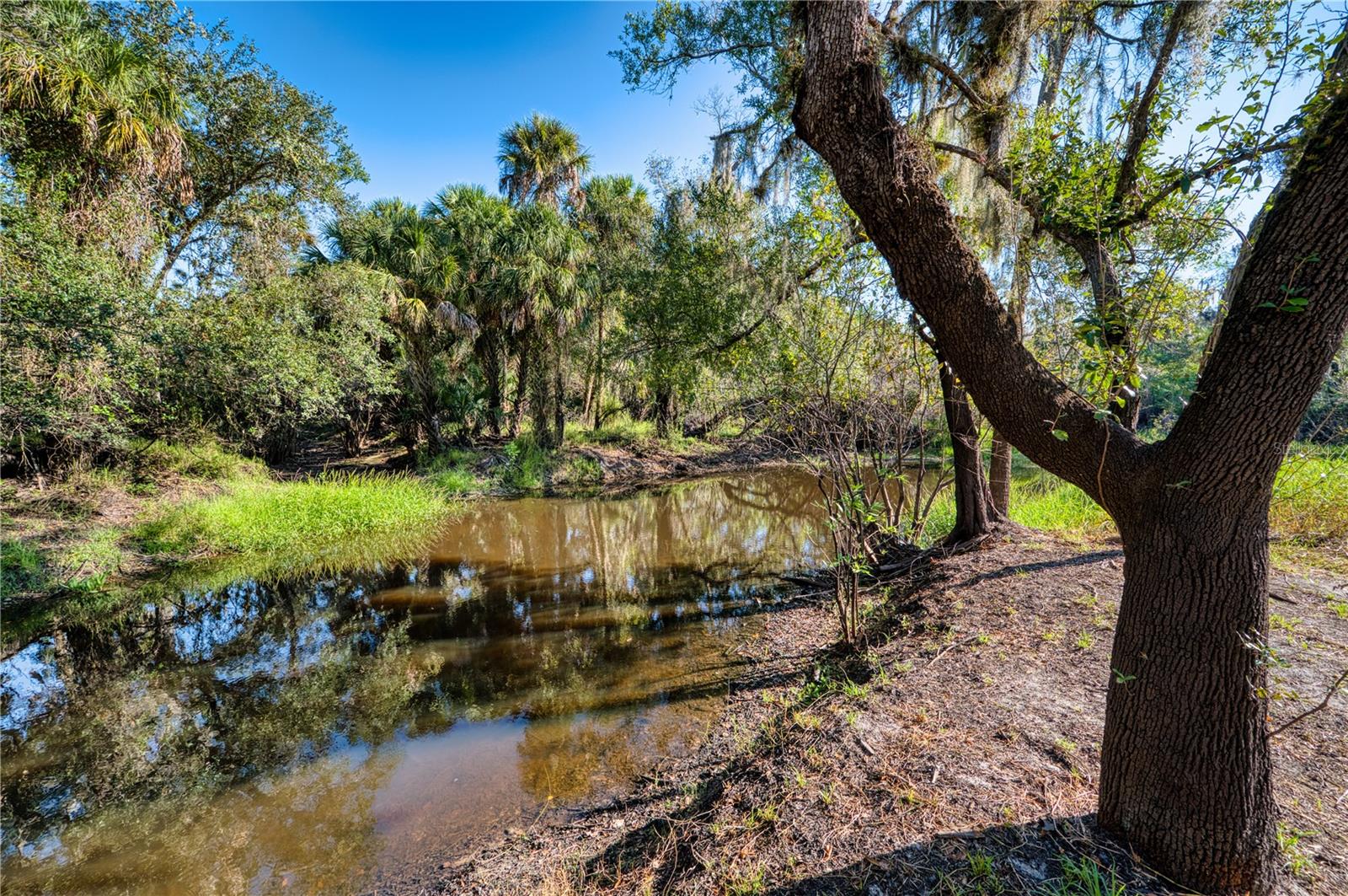 ACREAGE - Residential