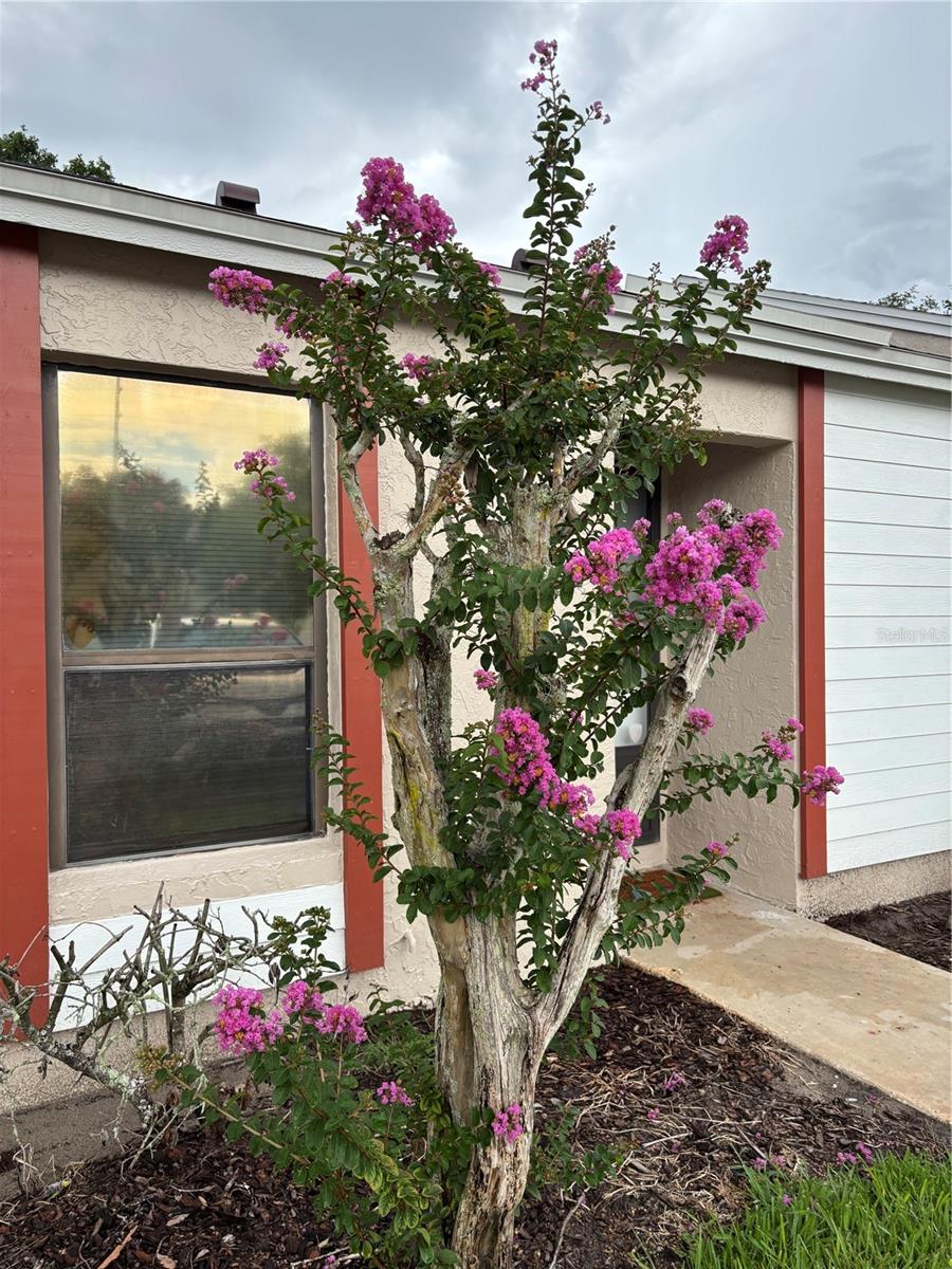 GOLDENROD VILLAS CONDO - Residential