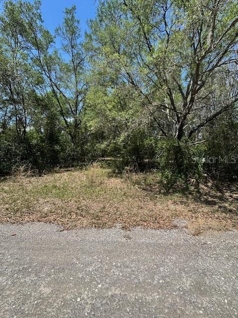 Build your Florida dream on this beautiful 0.23-acre homesite located at 8681 N Catapain Loop in Crystal River—a peaceful setting in one of the Nature Coast’s most sought-after areas for outdoor living and relaxed coastal charm.

Nestled on a quiet street, this property offers the perfect blend of privacy and convenience. Whether you’re planning a full-time residence, seasonal getaway or investment build, this parcel provides a versatile canvas with plenty of room for your vision. Enjoy the natural surroundings, mature vegetation and the freedom to design a home that fits your lifestyle.

Located just minutes from the heart of Crystal River, you’ll have easy access to world-renowned attractions like Three Sisters Springs and Crystal River National Wildlife Refuge, where boating, kayaking, fishing and manatee encounters are part of everyday life. Shopping, dining, medical facilities and schools are all within a short drive, while the Gulf Coast offers endless opportunities for waterfront recreation and breathtaking sunsets.

No HOA fees and plenty of flexibility make this an excellent opportunity for builders, investors or buyers looking to secure land in a growing area of Citrus County.

Don’t miss your chance to own a piece of Florida’s Nature Coast—where lifestyle meets opportunity.