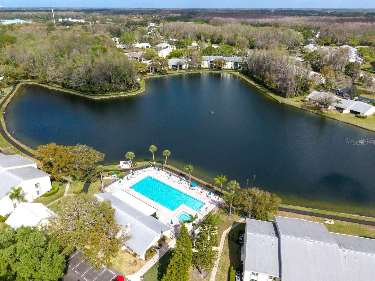 PINE RIDGE AT LAKE TARPON VILLAGE - Residential