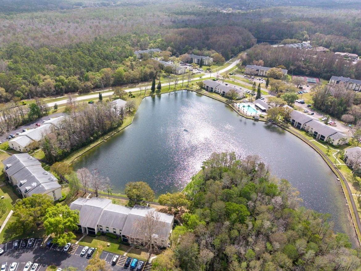 PINE RIDGE AT LAKE TARPON VILLAGE - Residential