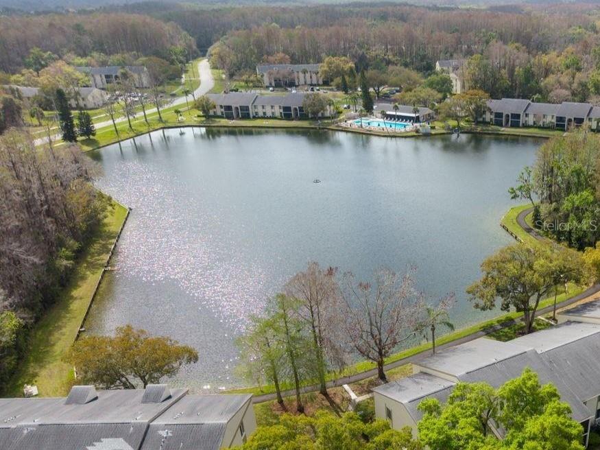 PINE RIDGE AT LAKE TARPON VILLAGE - Residential