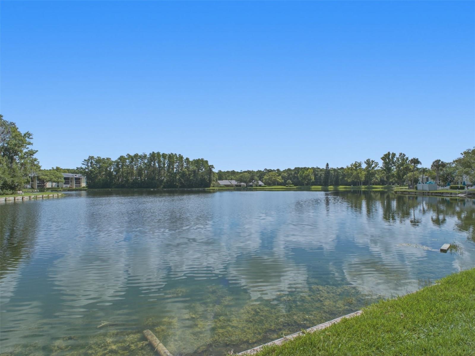 PINE RIDGE AT LAKE TARPON VILLAGE - Residential