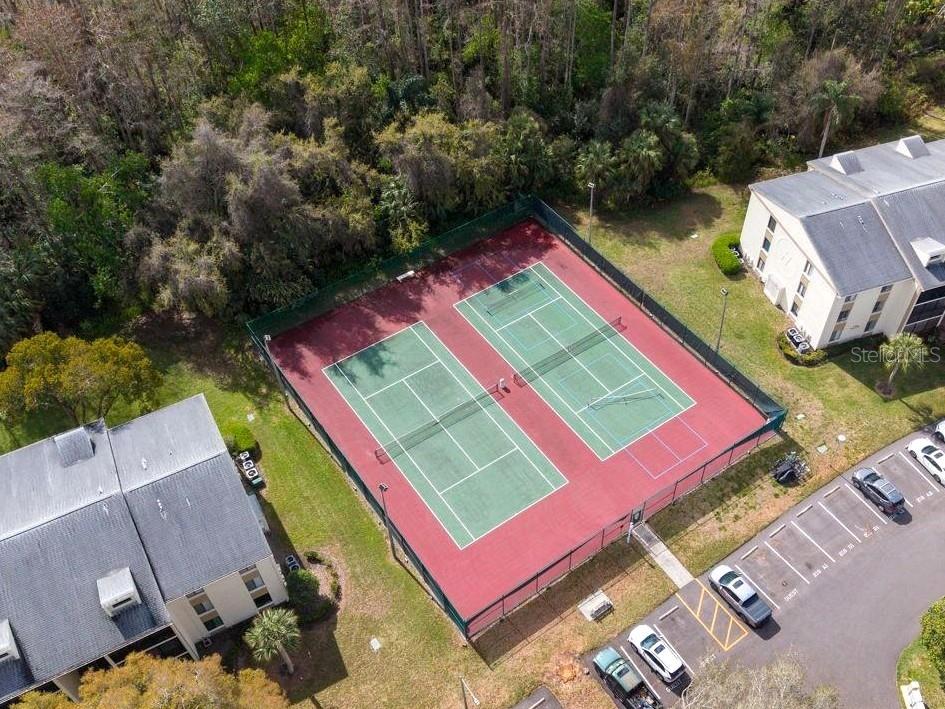 PINE RIDGE AT LAKE TARPON VILLAGE - Residential