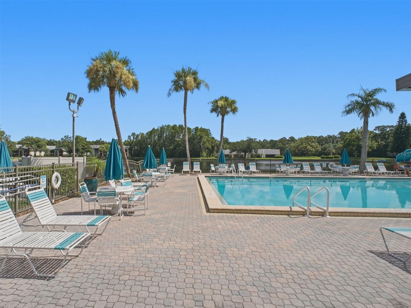 PINE RIDGE AT LAKE TARPON VILLAGE - Residential
