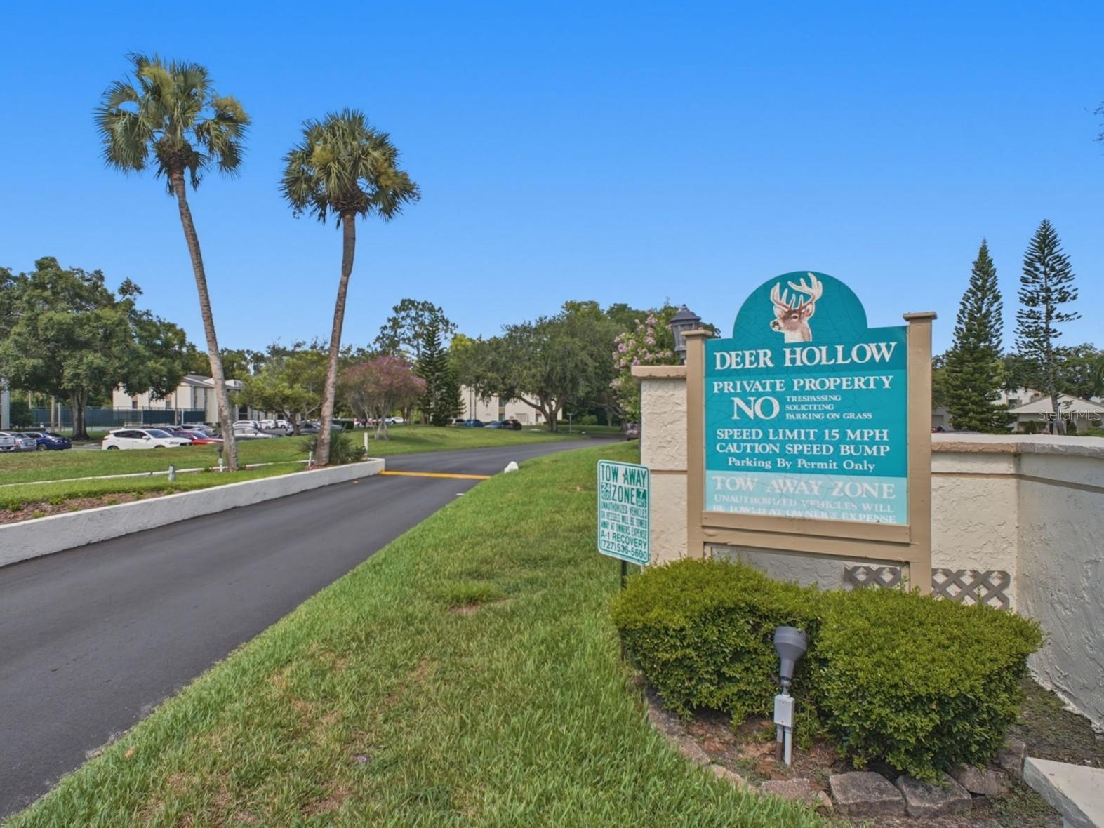 PINE RIDGE AT LAKE TARPON VILLAGE - Residential